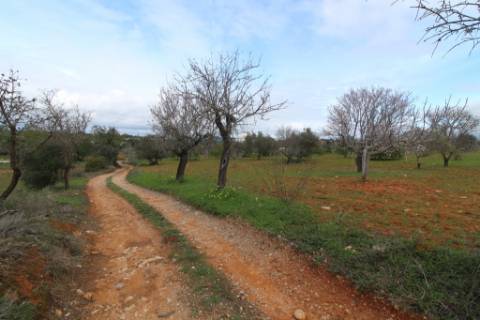 Terreno Rústico em Vale Verde, Guia, Albufeira