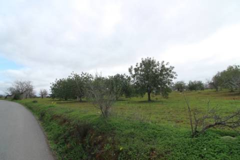 Terreno Rústico em Vale Verde, Guia, Albufeira