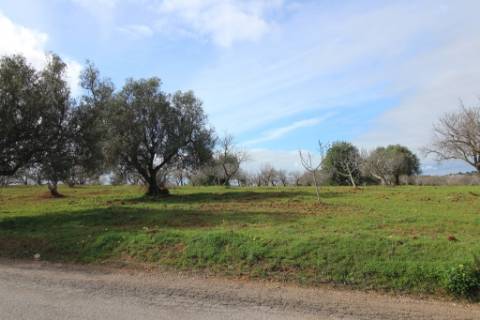 Terreno Rústico em Vale Verde, Guia, Albufeira