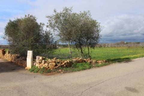Terreno Rústico em Vale Verde, Guia, Albufeira