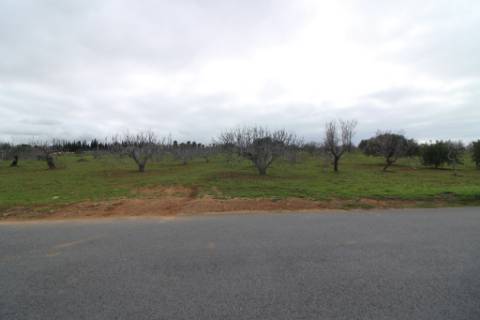 Terreno Rústico em Vale Verde, Guia, Albufeira