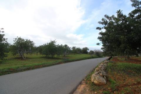 Terreno Rústico em Vale Verde, Guia, Albufeira