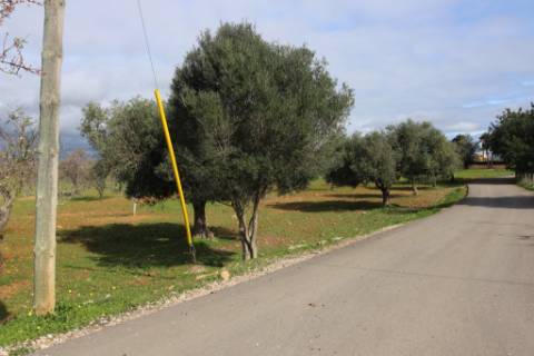 Terreno Rústico em Vale Verde, Guia, Albufeira