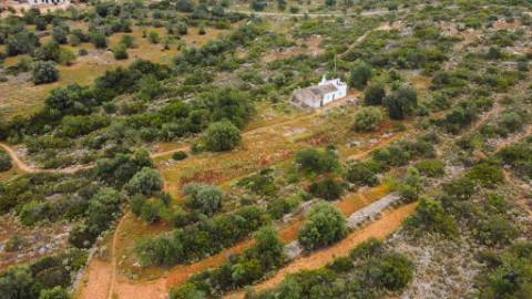 Terreno com casa em Estói