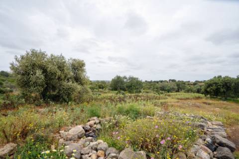 Terreno com casa em Estói