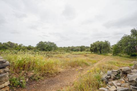Terreno com casa em Estói