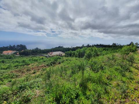 Lote de Terreno em Santo António da Serra