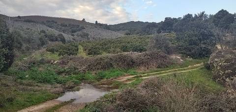 Quinta/ Exploração agrícola em Vila Flor