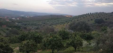 Quinta/ Exploração agrícola em Vila Flor