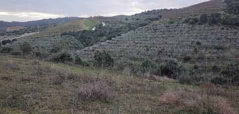 Quinta/ Exploração agrícola em Vila Flor