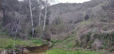Quinta/ Exploração agrícola em Vila Flor