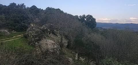 Quinta/ Exploração agrícola em Vila Flor