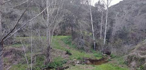 Quinta/ Exploração agrícola em Vila Flor