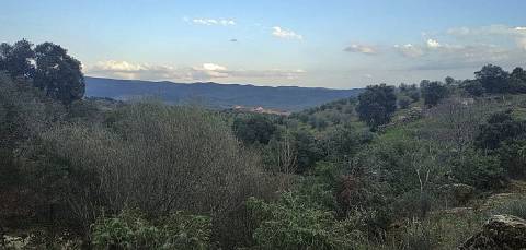 Quinta/ Exploração agrícola em Vila Flor