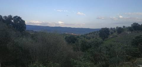 Quinta/ Exploração agrícola em Vila Flor