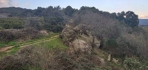 Quinta/ Exploração agrícola em Vila Flor