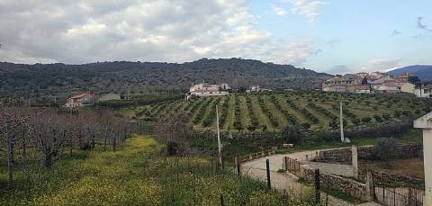 Quinta/ Exploração agrícola em Vila Flor