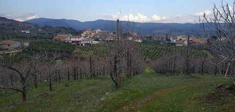 Quinta/ Exploração agrícola em Vila Flor