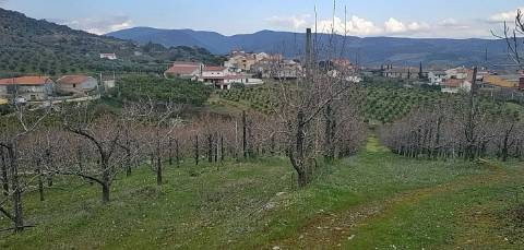 Quinta/ Exploração agrícola em Vila Flor