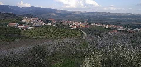 Quinta/ Exploração agrícola em Vila Flor