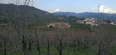 Quinta/ Exploração agrícola em Vila Flor