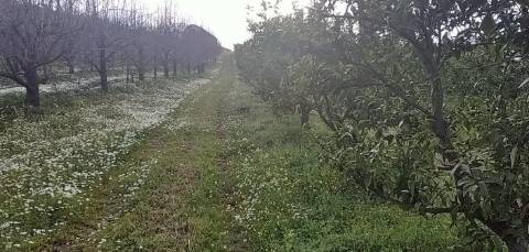 Quinta/ Exploração agrícola em Vila Flor