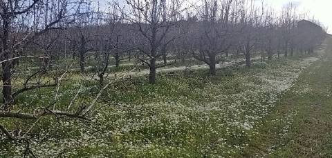 Quinta/ Exploração agrícola em Vila Flor
