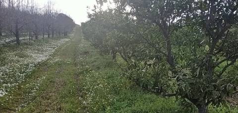 Quinta/ Exploração agrícola em Vila Flor