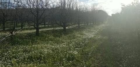 Quinta/ Exploração agrícola em Vila Flor