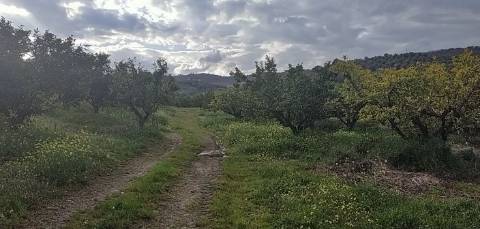 Quinta/ Exploração agrícola em Vila Flor