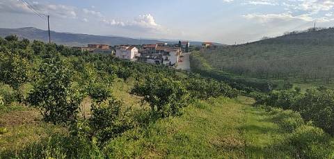 Quinta/ Exploração agrícola em Vila Flor