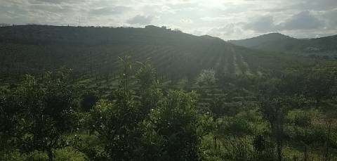 Quinta/ Exploração agrícola em Vila Flor