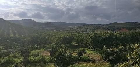 Quinta/ Exploração agrícola em Vila Flor