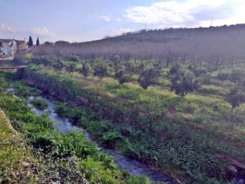 Quinta/ Exploração agrícola em Vila Flor