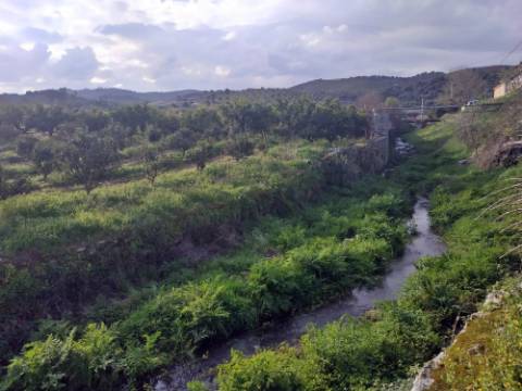 Quinta/ Exploração agrícola em Vila Flor