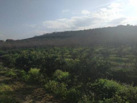 Quinta/ Exploração agrícola em Vila Flor