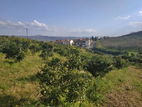 Quinta/ Exploração agrícola em Vila Flor