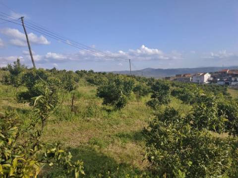 Quinta/ Exploração agrícola em Vila Flor