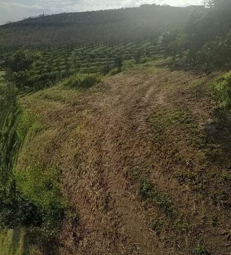 Quinta/ Exploração agrícola em Vila Flor
