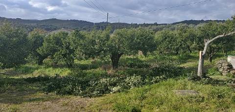 Quinta/ Exploração agrícola em Vila Flor