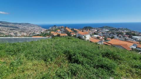 Terreno no Pico das Romeiras em Santo António - Funchal