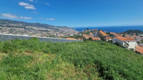 Terreno no Pico das Romeiras em Santo António - Funchal