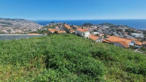 Terreno no Pico das Romeiras em Santo António - Funchal