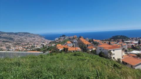 Terreno no Pico das Romeiras em Santo António - Funchal