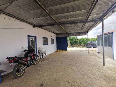 Terreno com Quintinha em Faro, Sítio do Besouro