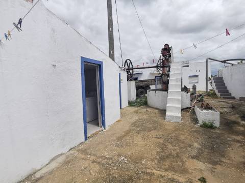 Terreno com Quintinha em Faro, Sítio do Besouro