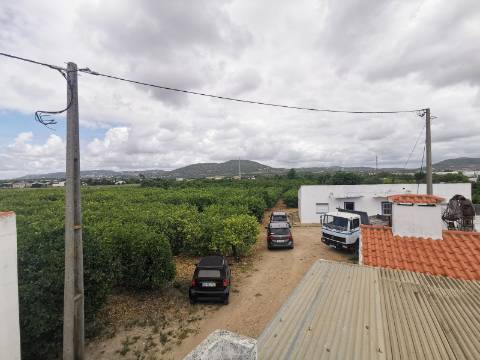 Terreno com Quintinha em Faro, Sítio do Besouro
