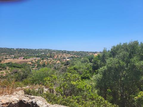 Terreno com ruína no Cerro de Cabeça de Câmara