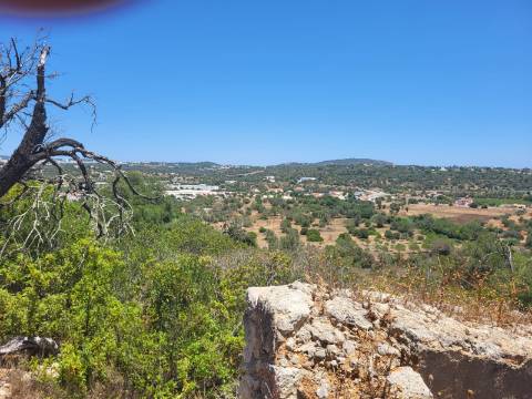 Terreno com ruína no Cerro de Cabeça de Câmara
