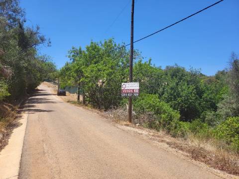 Terreno com ruína no Cerro de Cabeça de Câmara